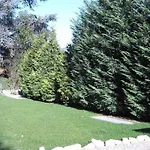 Ortensia بافينو