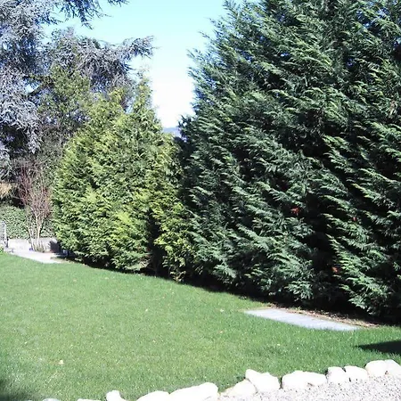Ortensia Baveno